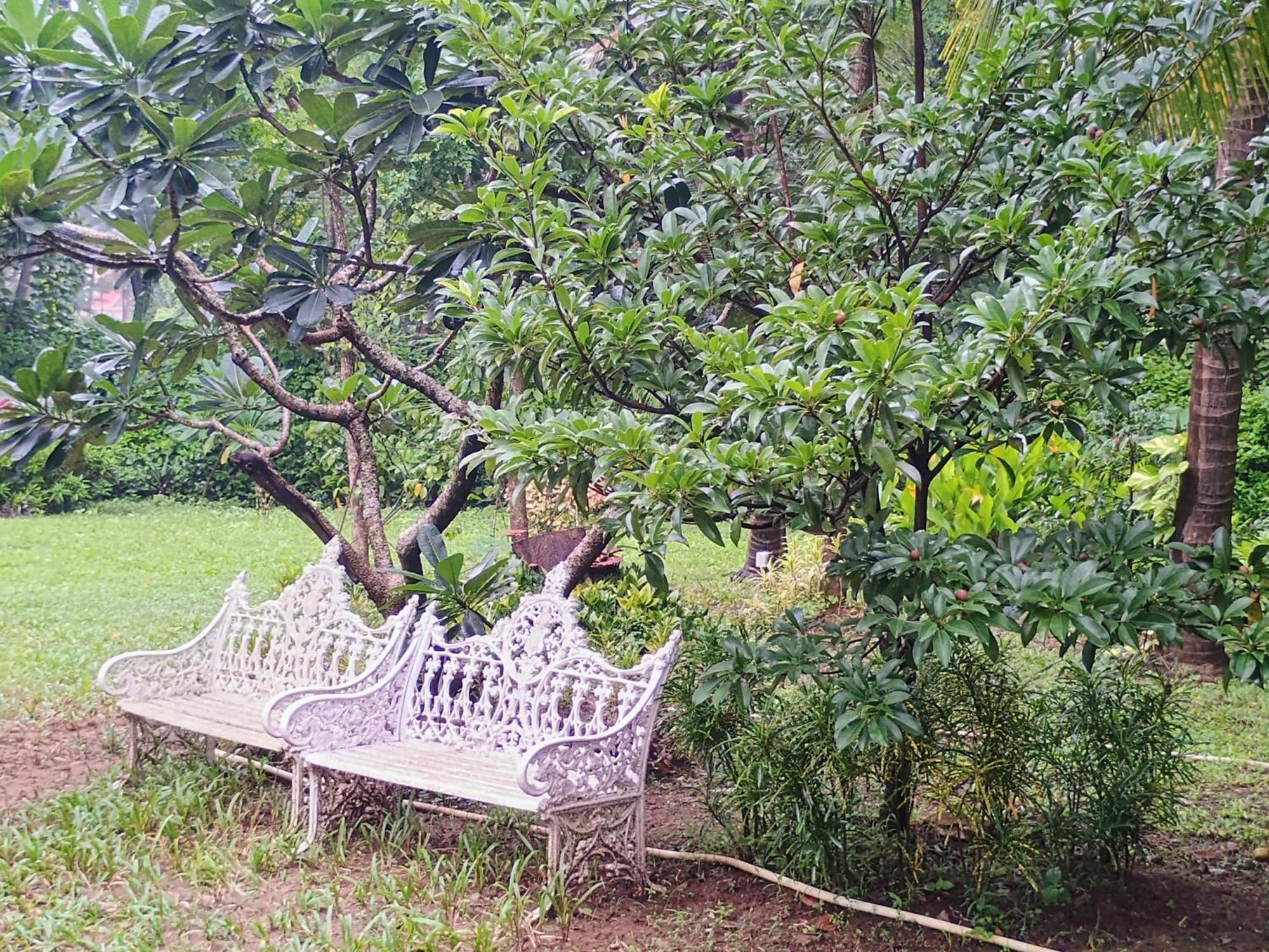 Banyan House - Luxurious 4 Bedroom Villa On One Acre, Near The Beach Nagaon  Buitenkant foto